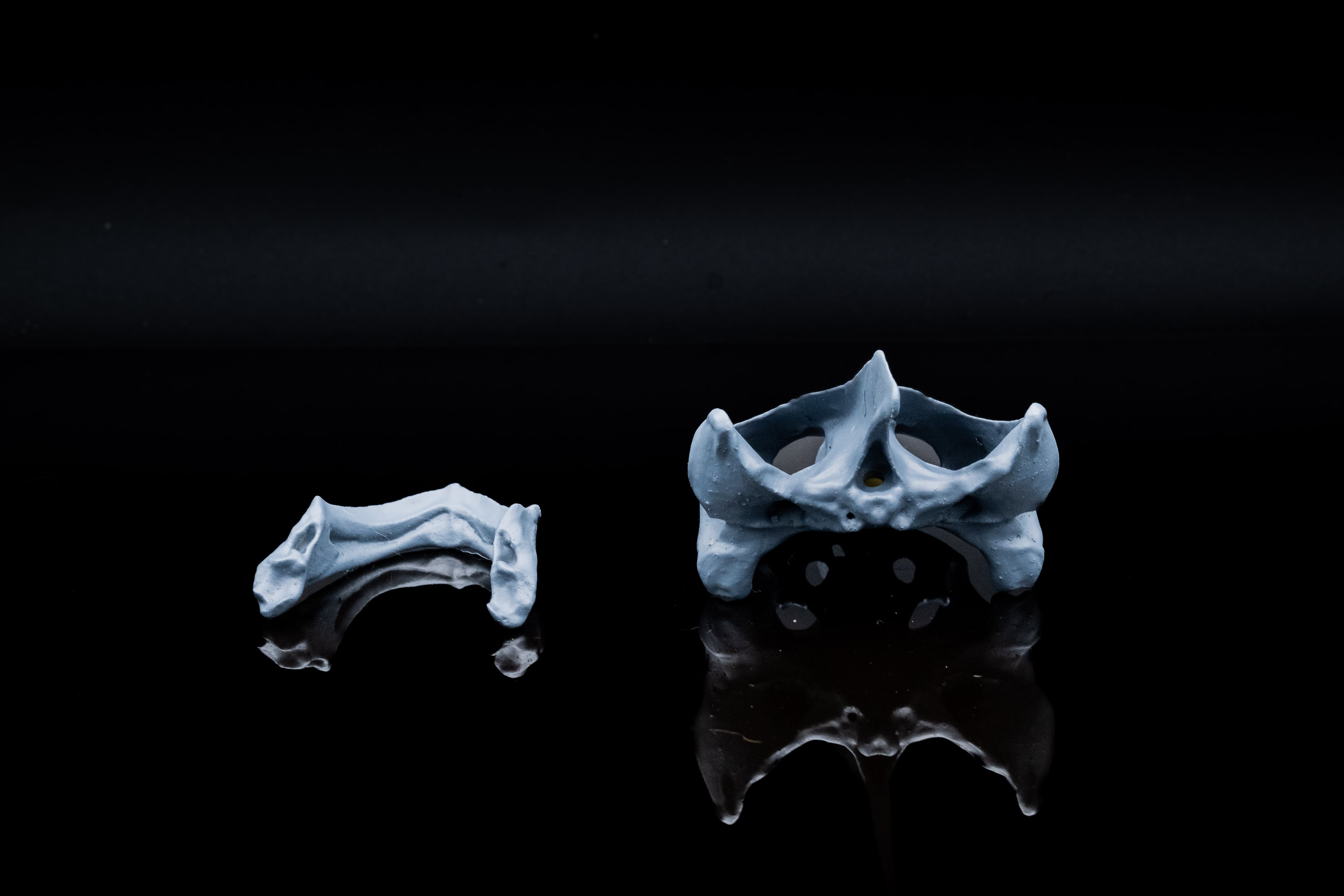 Snapping Turtle Skull 3d model