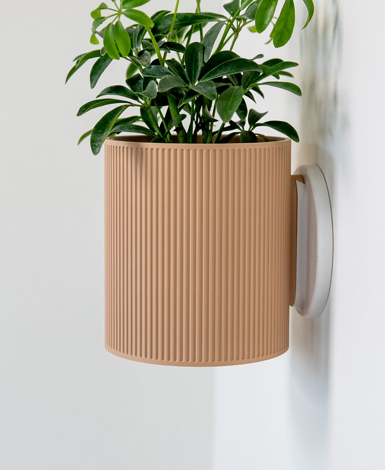 Heywood Wall Planter v2 3d model