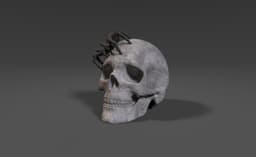 Spider Skull 3d model