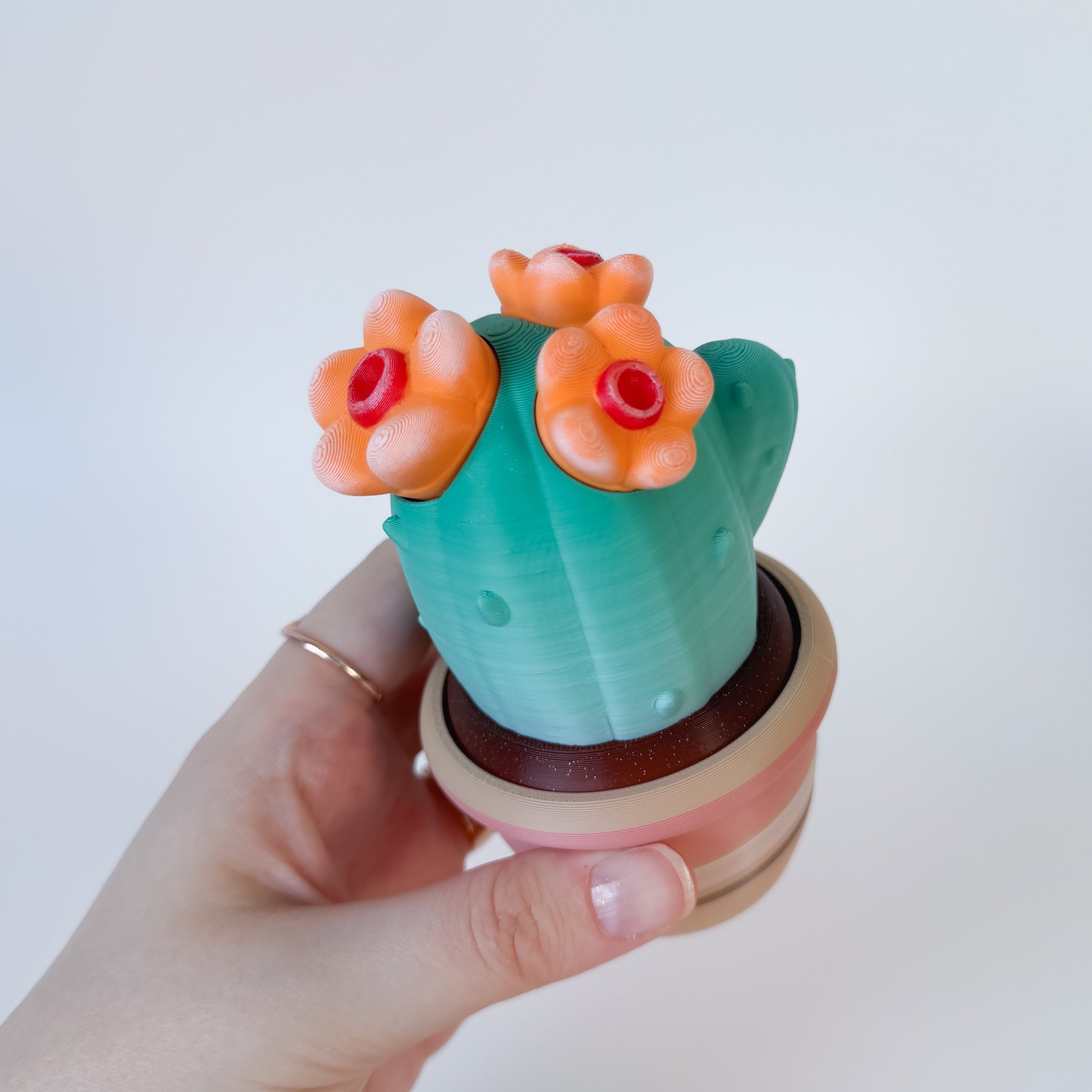 Cactus pot container and Cactus clicker 3d model