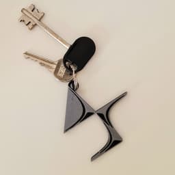 Keychain: DS I 3d model