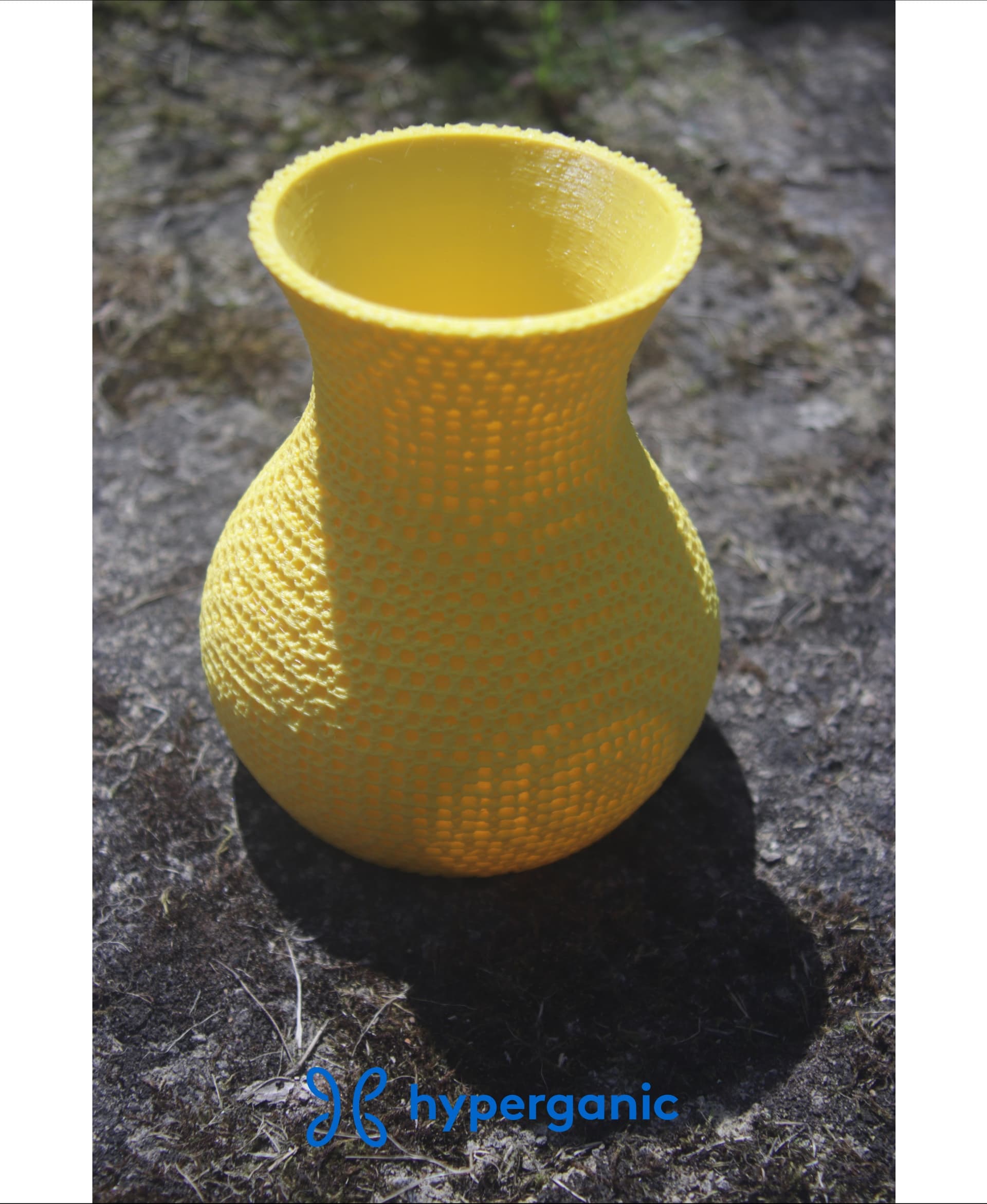 FRD TPMS Lattice Vase 3d model