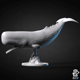 Animals - Ocean Wildlife 3d model