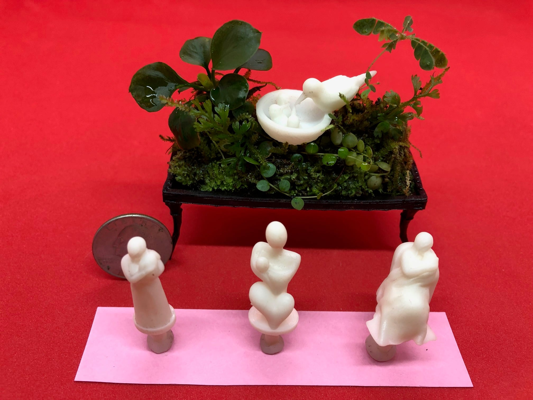 Terrarium - Birds - 3d model
