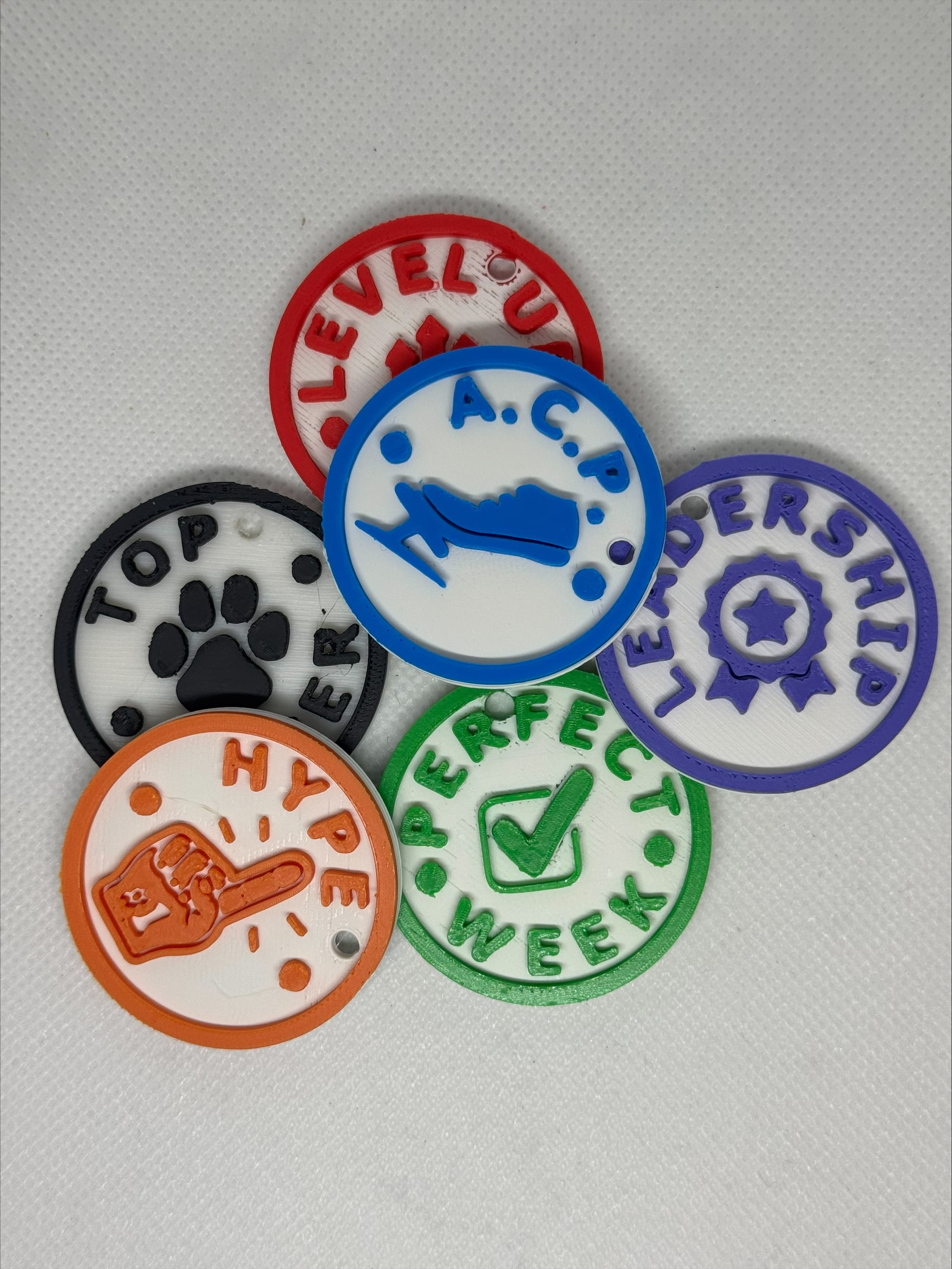 Team Achievement Tags / Keychains 3d model