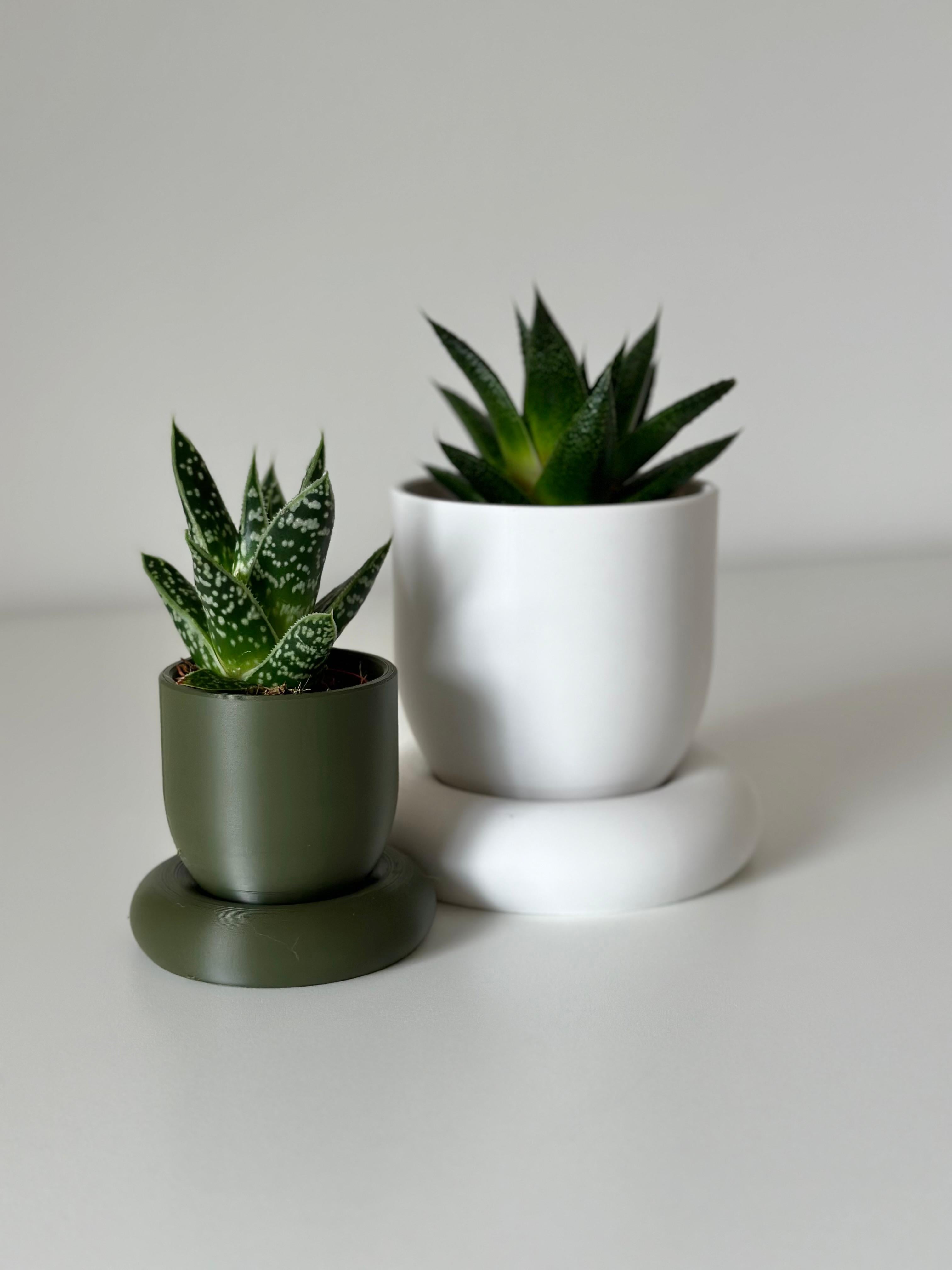 RING planter 3d model