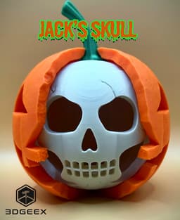 Jack's Skull 3d model