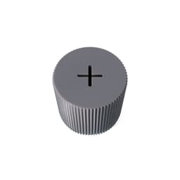 PIGGY BANK + 3d model