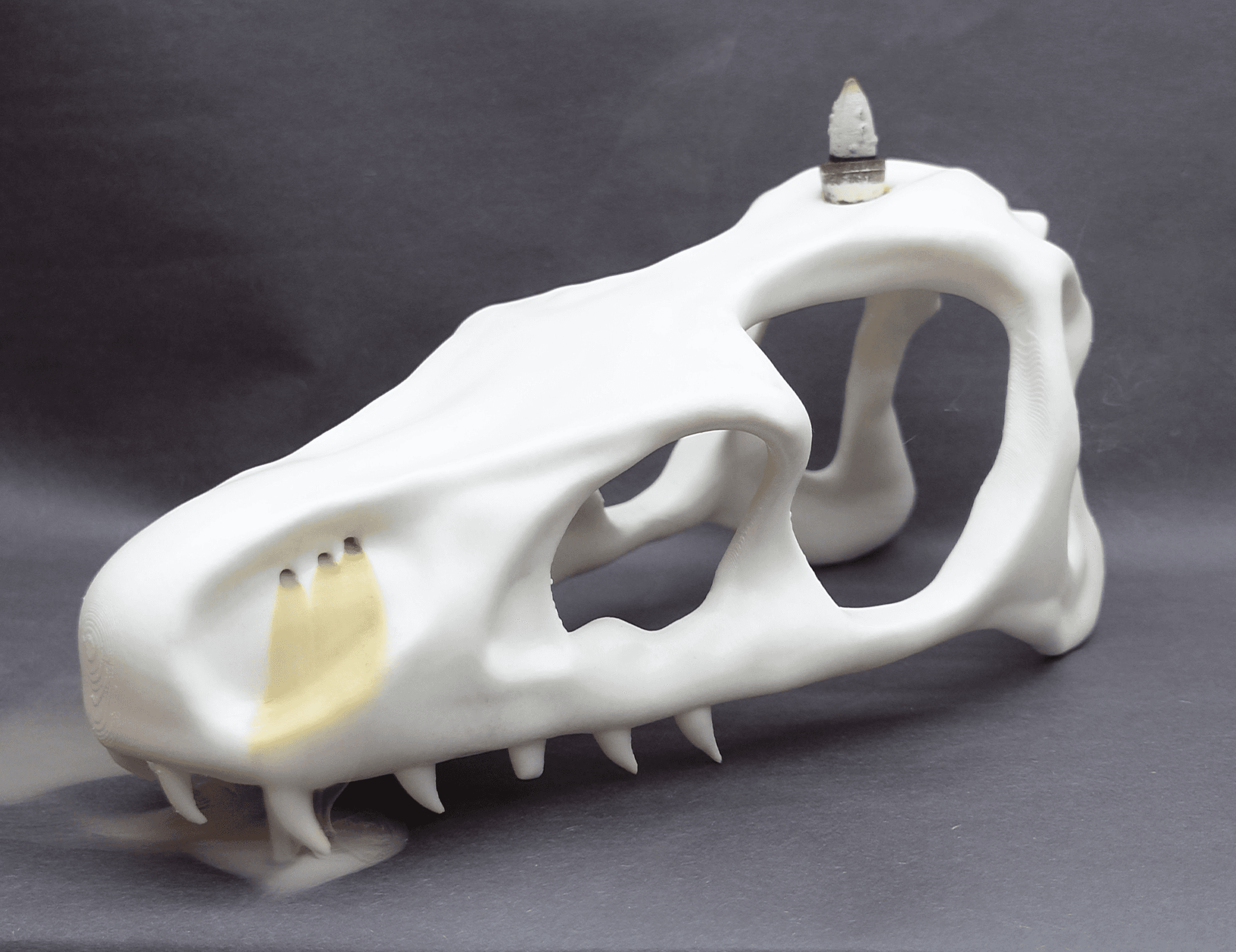 Dragon Skull Incense Burner 3d model
