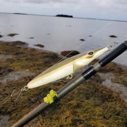 Topwater Fishing Lure 3d model