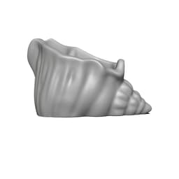 Seashell collection 3d model