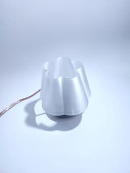 Mini-Flower Lamp 3d model