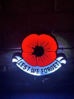 Poppy Light Box 3d model