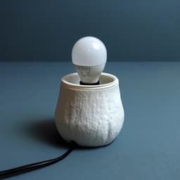 Mushroom lamp “Boletus Edulis” 3d model