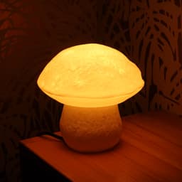 Mushroom lamp “Boletus Edulis” 3d model