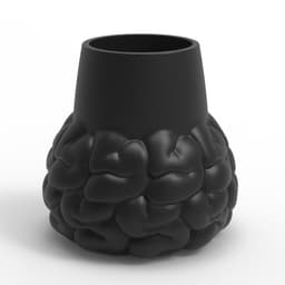 BRAIN VASE 3d model