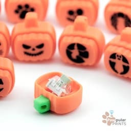Pumpkin Patch 3d model