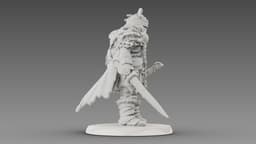 Woven Warrior 3d model