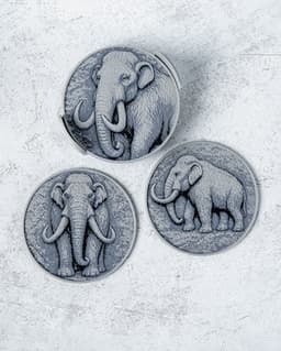 Mammoth Coasters 3d model