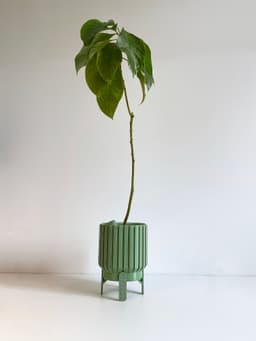 Plant Pot - Ripple L 3d model