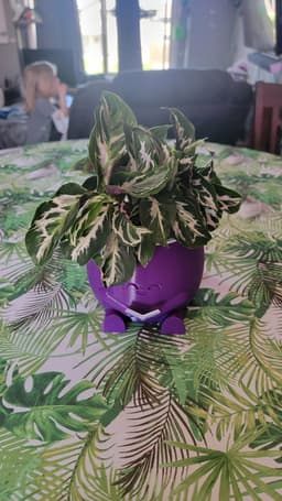 Smiling Book Reading Planter 3d model