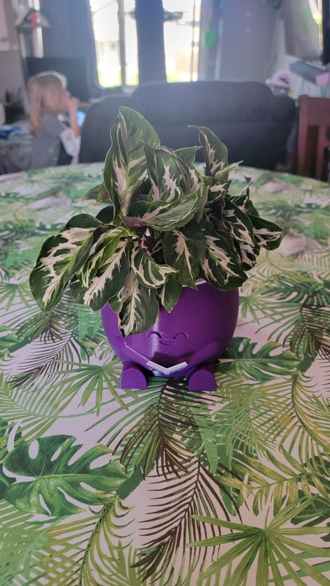 Smiling Book Reading Planter 3d model