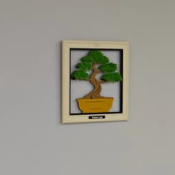 Bonsai Tree 3d model