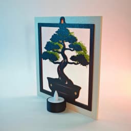 Bonsai Tree 3d model