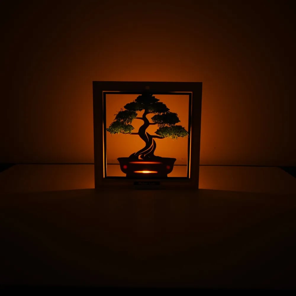 Bonsai Tree 3d model