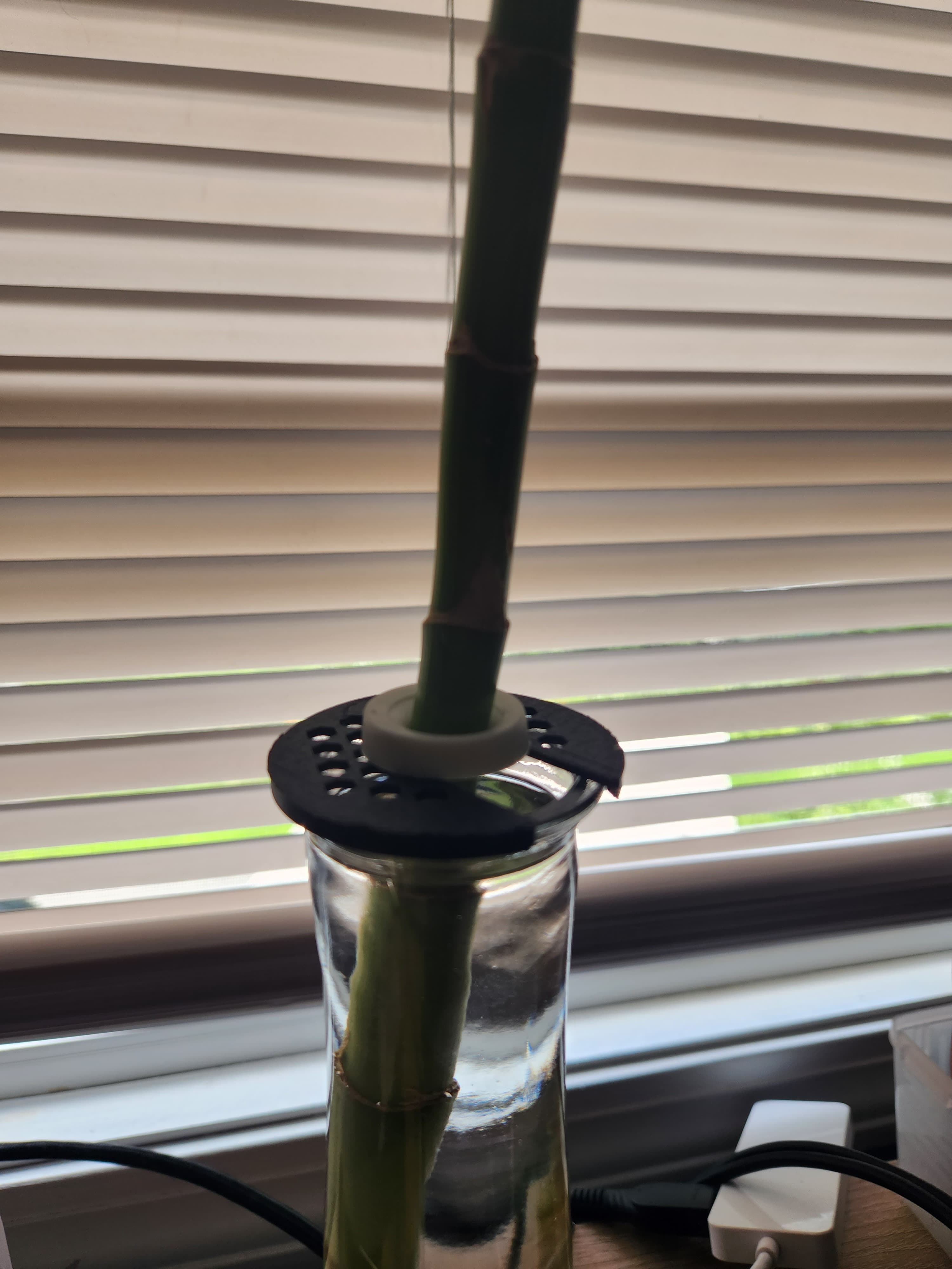 Single Strand bamboo holder 3d model