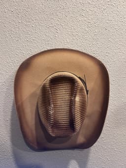 Modern Wall Mount Hat Rack 3d model