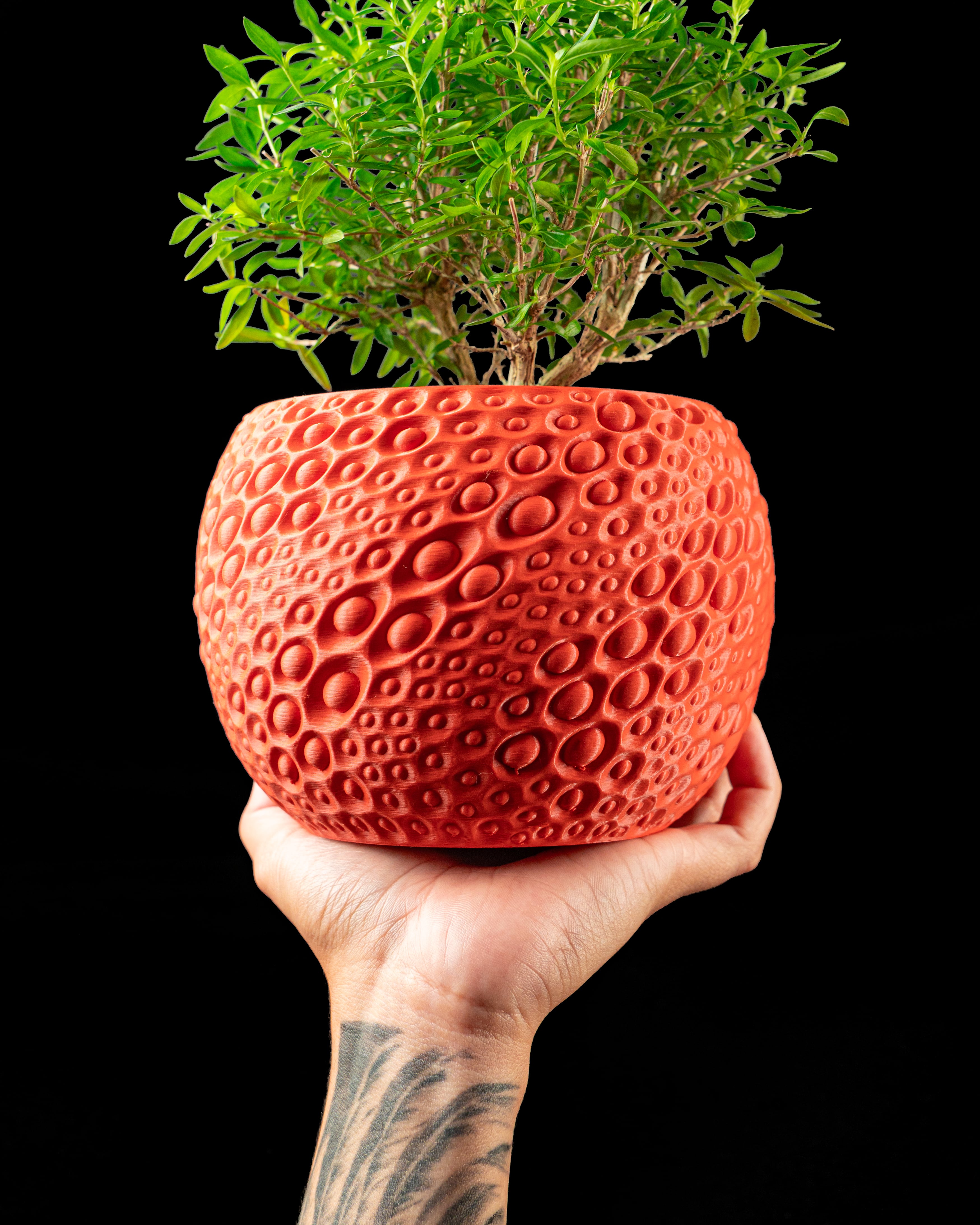 Pearl Planter Pot by MODERN MACHINE 3d model