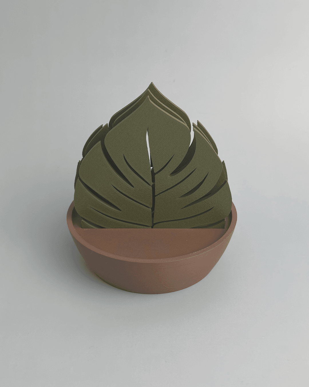 Monstera Leaf Coaster Set 3d model