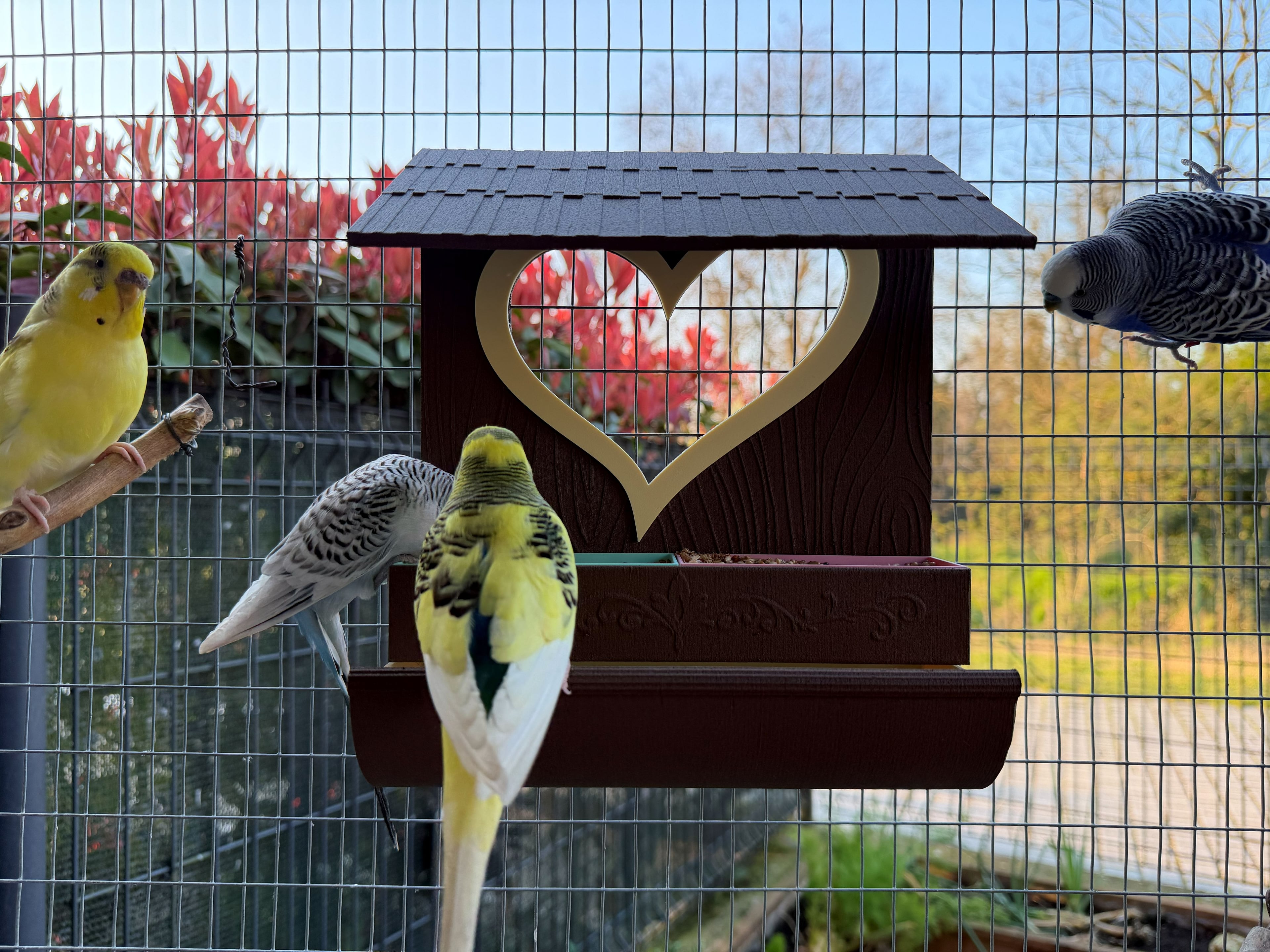 Bird feeder 3d model