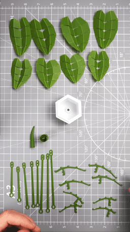 Low Poly Plant - Elephant Ear 3d model