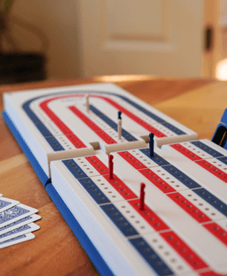 PlayBook'd Cribbage 3d model