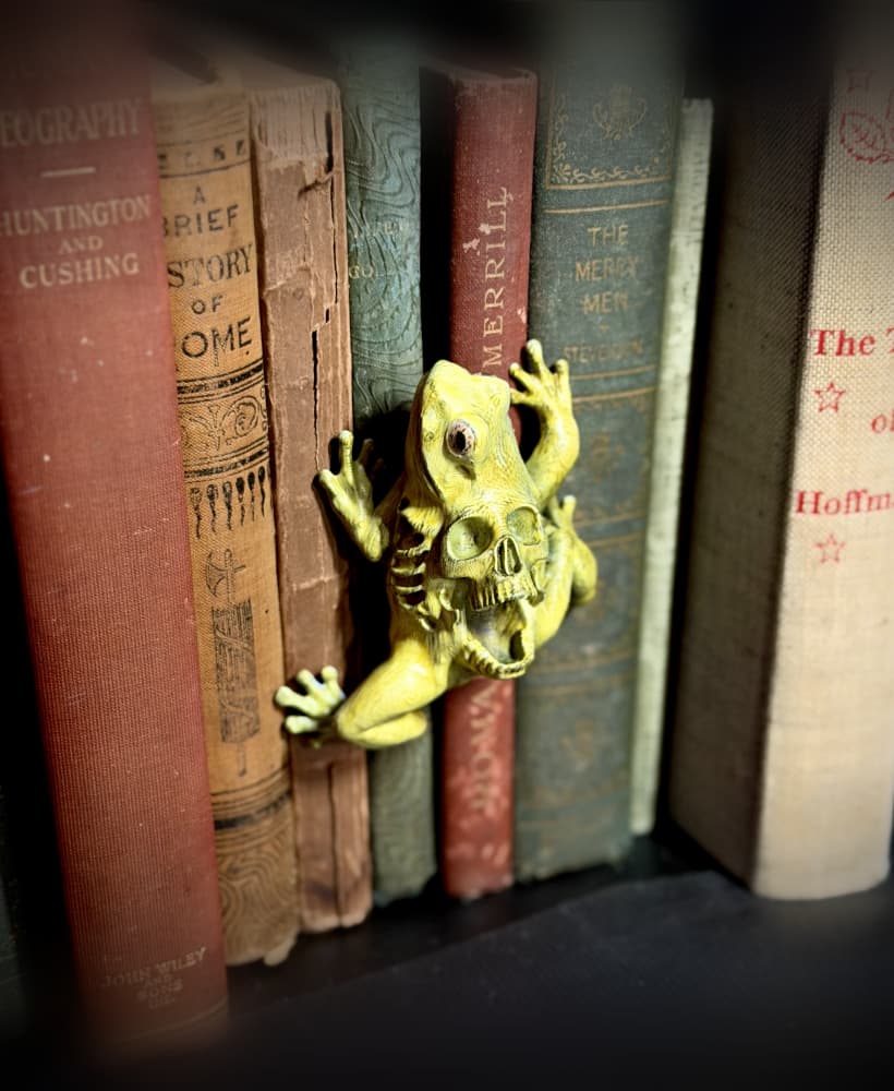 Skull frog spine hugger 3d model