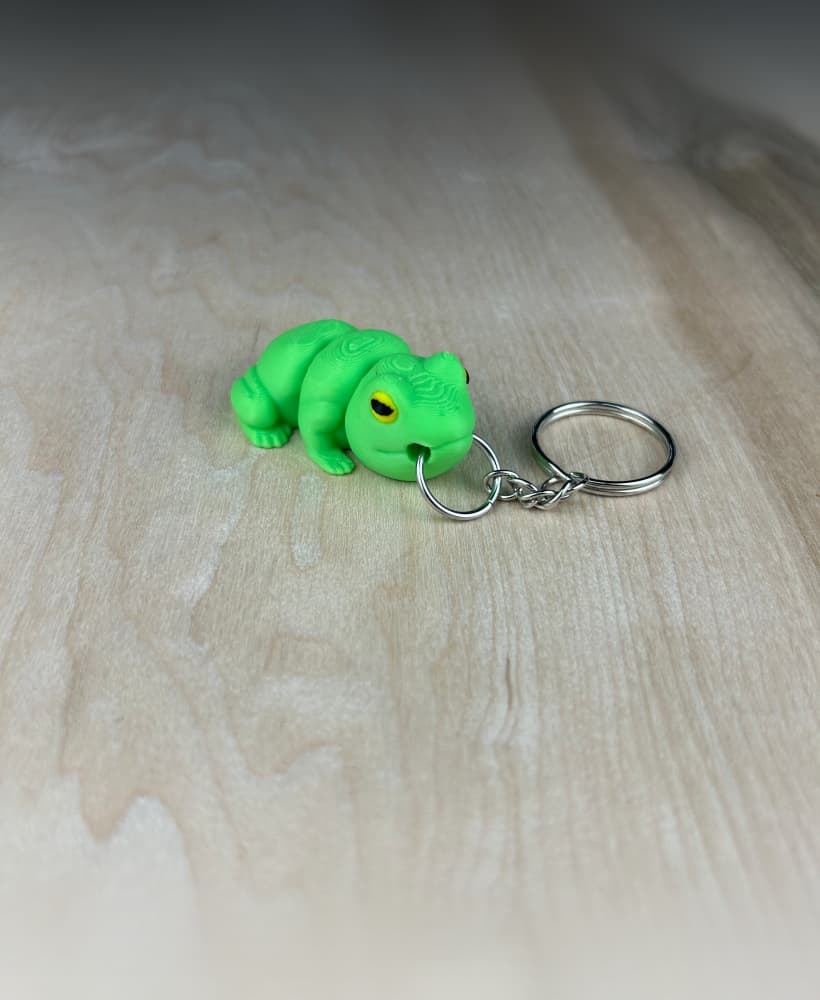 Frog Fidget 3d model