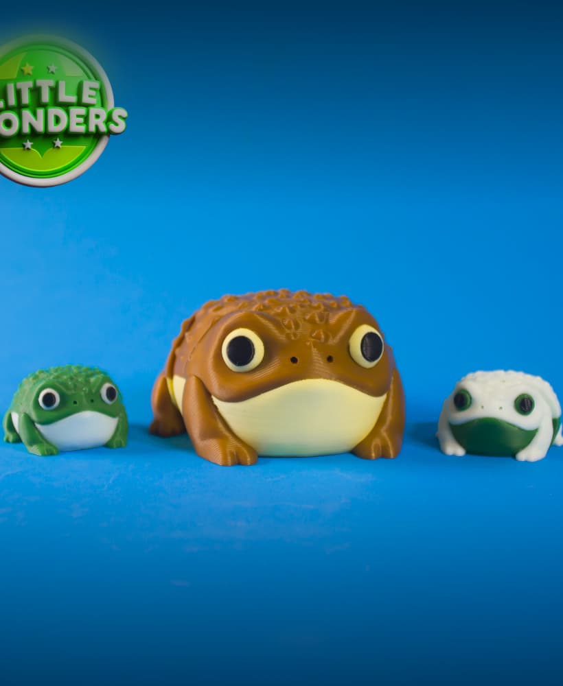 Rain Frog 3d model