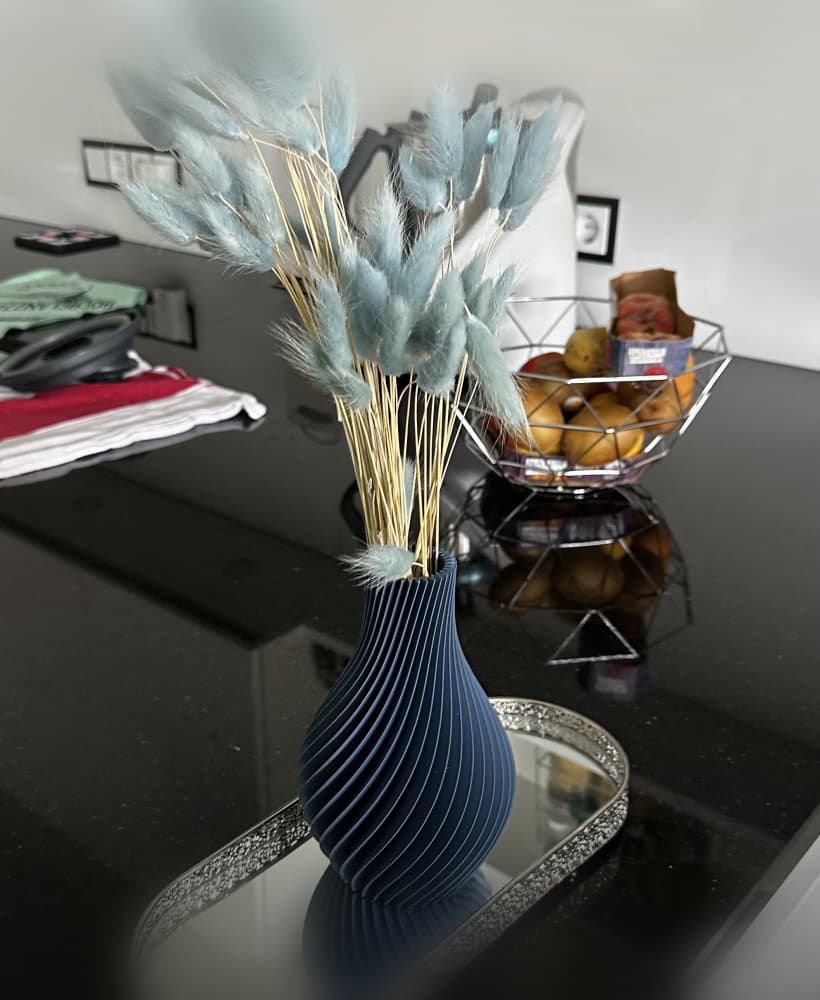 Spiral Vase 3d model