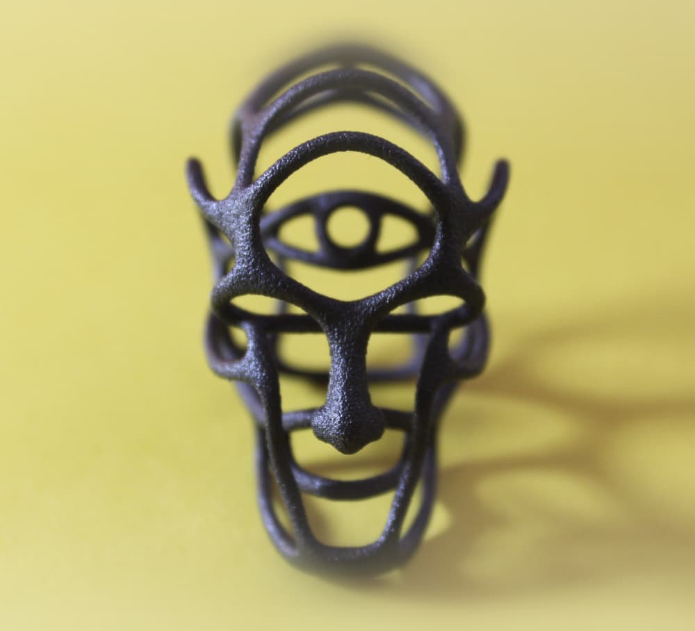 Inner Vision 3d model