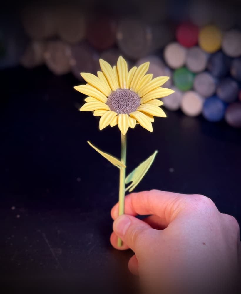 Sunflower 3d model