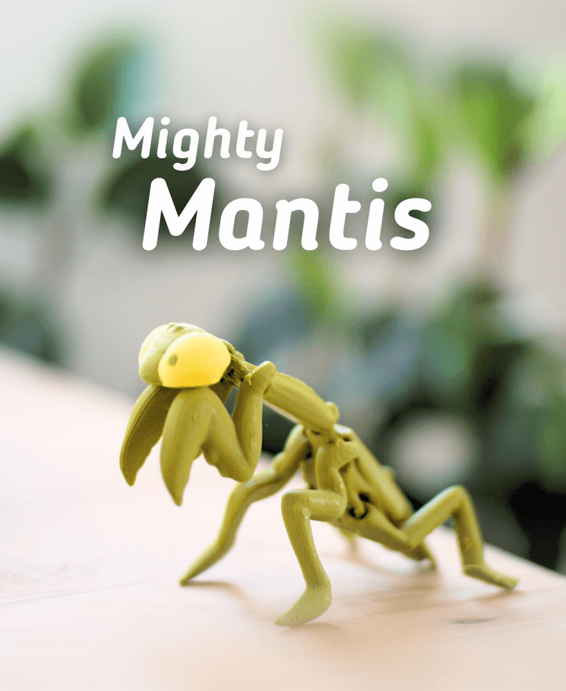 Mighty Mantis Articulated Fidget Praying Mantis - Keychain - Ludo 3D Printed Flexi 3d model