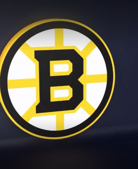 Boston Bruins - LED Strip compatible 3d model