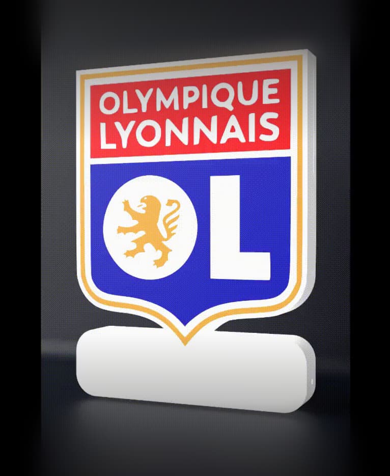 Olympique Lyonnais - LED strip compatible 3d model
