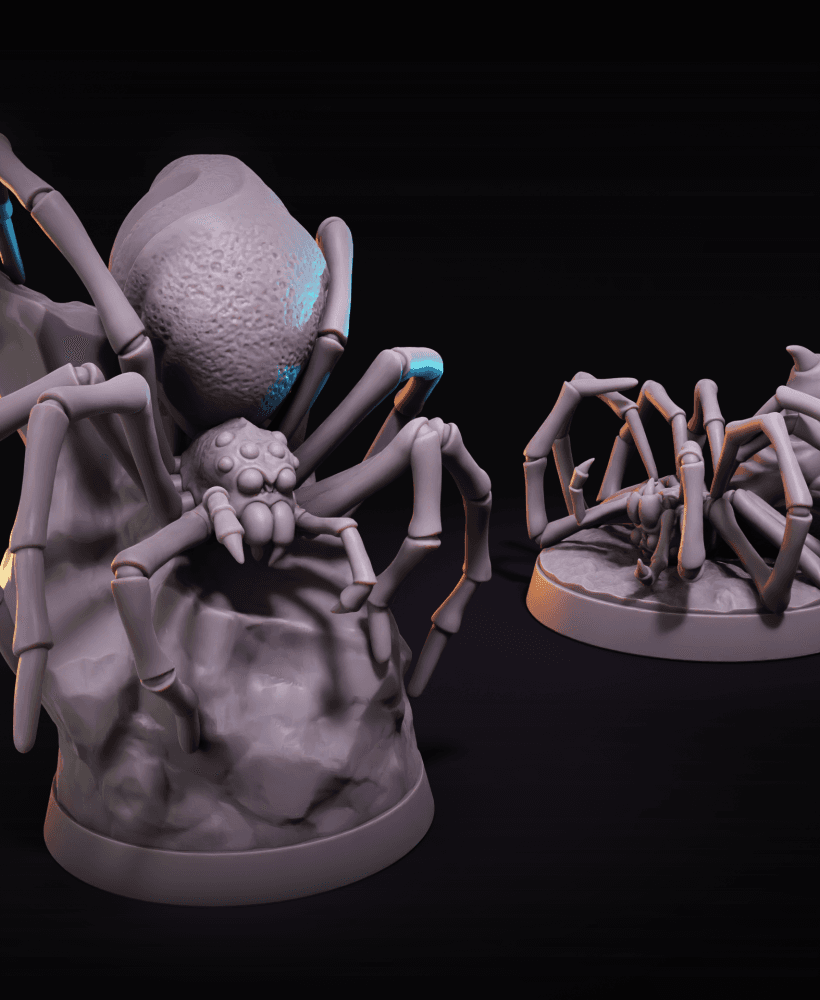 Spider 3d model