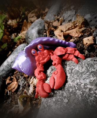 Hermit crab_v2 3d model