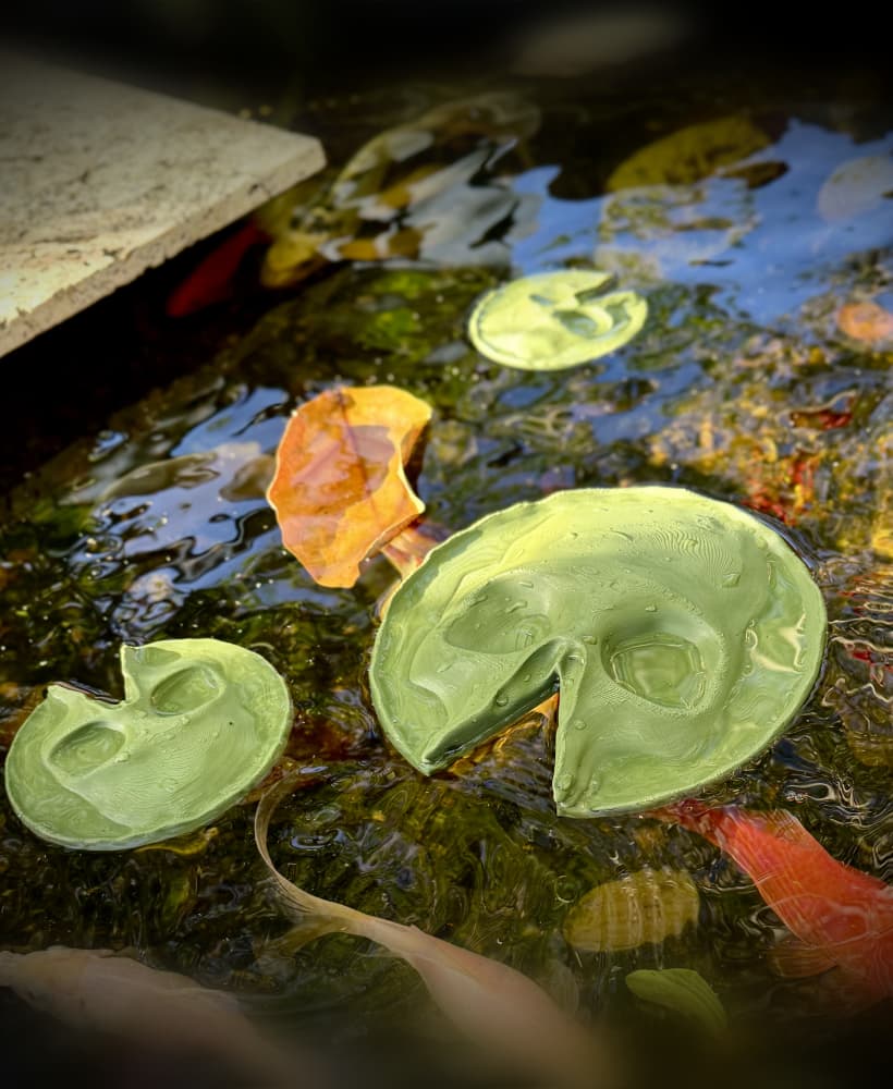 Skull lilly pad 3d model