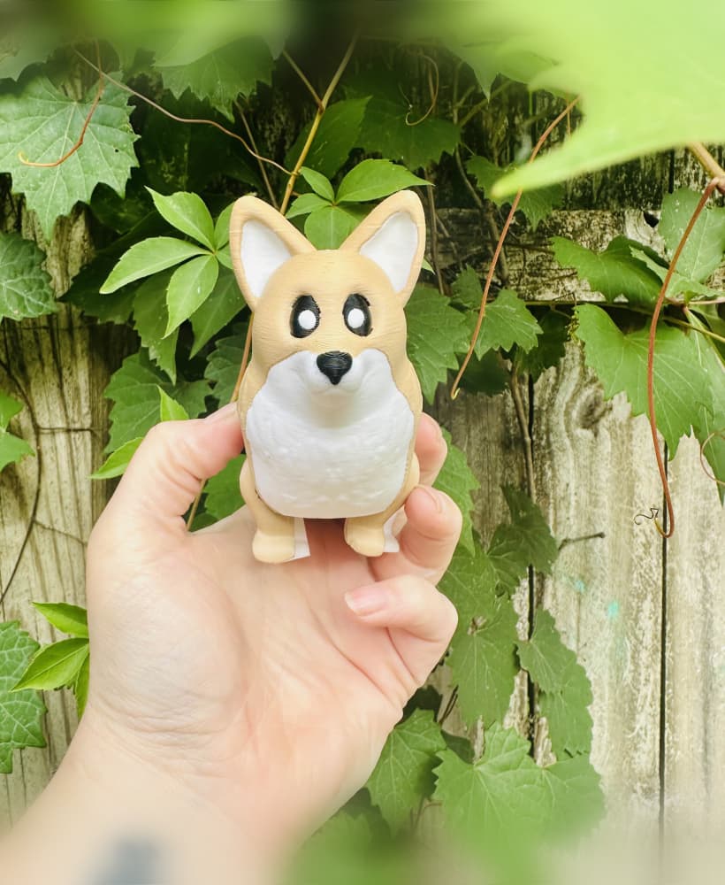 Cute Corgi 3d model