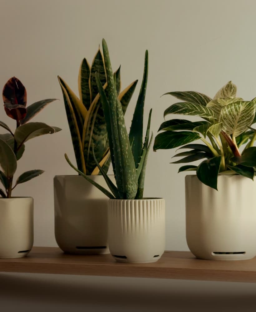Modern Planter collection | drainage built in 3d model